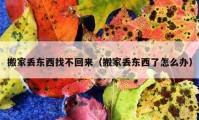 搬家丢东西找不回来（搬家丢东西了怎么办）