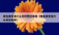 朋友搬家送什么花好乔迁新居（朋友搬家送什么花比较好）