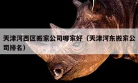 天津河西区搬家公司哪家好（天津河东搬家公司排名）