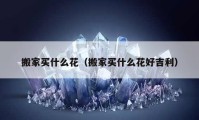 搬家买什么花（搬家买什么花好吉利）