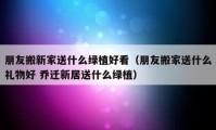 朋友搬新家送什么绿植好看（朋友搬家送什么礼物好 乔迁新居送什么绿植）