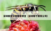 深圳搬家公司哪家便宜（深圳哪个搬家公司）