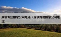 深圳专业搬家公司电话（深圳好的搬家公司电话）