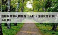 送朋友搬家礼物推荐什么好（送朋友搬新家什么礼物）