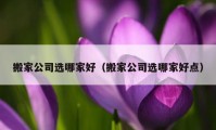 搬家公司选哪家好（搬家公司选哪家好点）