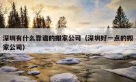 深圳有什么靠谱的搬家公司（深圳好一点的搬家公司）