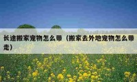 长途搬家宠物怎么带（搬家去外地宠物怎么带走）