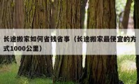 长途搬家如何省钱省事（长途搬家最便宜的方式1000公里）