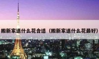 搬新家送什么花合适（搬新家送什么花最好）