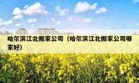 哈尔滨江北搬家公司（哈尔滨江北搬家公司哪家好）