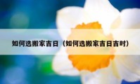 如何选搬家吉日（如何选搬家吉日吉时）