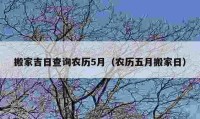 搬家吉日查询农历5月（农历五月搬家日）