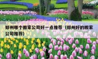 郑州哪个搬家公司好一点推荐（郑州好的搬家公司推荐）