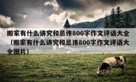 搬家有什么讲究和忌讳800字作文评语大全（搬家有什么讲究和忌讳800字作文评语大全图片）