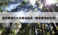 搬家要带什么东西进新房（搬家要带的东西）