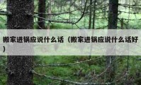 搬家进锅应说什么话（搬家进锅应说什么话好）