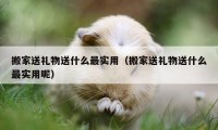 搬家送礼物送什么最实用（搬家送礼物送什么最实用呢）