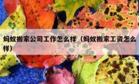 蚂蚁搬家公司工作怎么样（蚂蚁搬家工资怎么样）