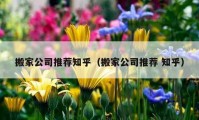 搬家公司推荐知乎（搬家公司推荐 知乎）