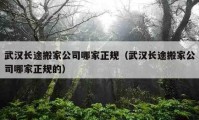 武汉长途搬家公司哪家正规（武汉长途搬家公司哪家正规的）