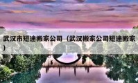 武汉市短途搬家公司（武汉搬家公司短途搬家）