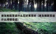 朋友搬新家送什么花好寓意好（朋友搬新家送什么绿植合适）