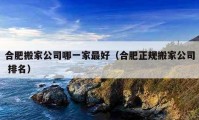 合肥搬家公司哪一家最好（合肥正规搬家公司 排名）