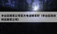 丰台区搬家公司官方电话哪家好（丰台区政府附近搬家公司）