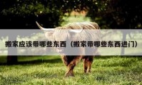 搬家应该带哪些东西（搬家带哪些东西进门）