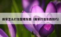 搬家怎么打包整理东西（搬家打包东西技巧）