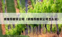 求推荐搬家公司（求推荐搬家公司怎么说）