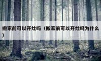 搬家前可以开灶吗（搬家前可以开灶吗为什么）