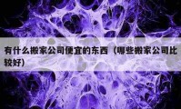 有什么搬家公司便宜的东西（哪些搬家公司比较好）