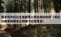 搬家找货拉拉还是搬家公司比较好的好（货拉拉搬家和搬家公司哪个比较便宜）