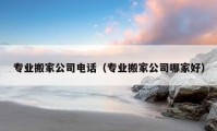 专业搬家公司电话（专业搬家公司哪家好）