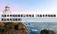 乌鲁木齐蚂蚁搬家公司电话（乌鲁木齐蚂蚁搬家公司电话查询）