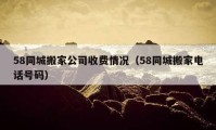 58同城搬家公司收费情况（58同城搬家电话号码）