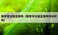 搬家可以送盆栽吗（搬家可以送盆栽吗风水好吗）