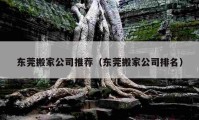 东莞搬家公司推荐（东莞搬家公司排名）