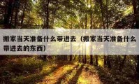 搬家当天准备什么带进去（搬家当天准备什么带进去的东西）