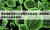 朋友搬新家送什么盆栽花比较合适（朋友搬新家送什么盆景花好）