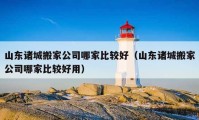 山东诸城搬家公司哪家比较好（山东诸城搬家公司哪家比较好用）