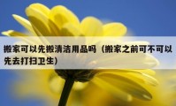 搬家可以先搬清洁用品吗（搬家之前可不可以先去打扫卫生）