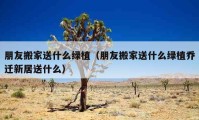 朋友搬家送什么绿植（朋友搬家送什么绿植乔迁新居送什么）