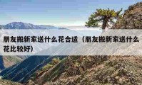 朋友搬新家送什么花合适（朋友搬新家送什么花比较好）