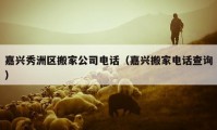 嘉兴秀洲区搬家公司电话（嘉兴搬家电话查询）