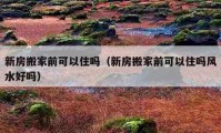 新房搬家前可以住吗（新房搬家前可以住吗风水好吗）