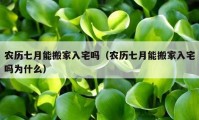 农历七月能搬家入宅吗（农历七月能搬家入宅吗为什么）