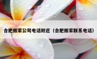 合肥搬家公司电话附近（合肥搬家联系电话）