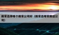 搬家选择哪个搬家公司好（搬家选哪家搬运公司）